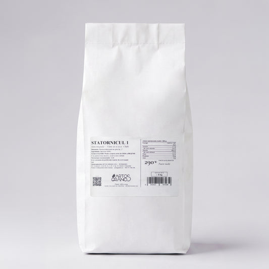 Statornicul 1 — Pâine Semi-Integrală Făină Profesională Tip 1 | 5kg